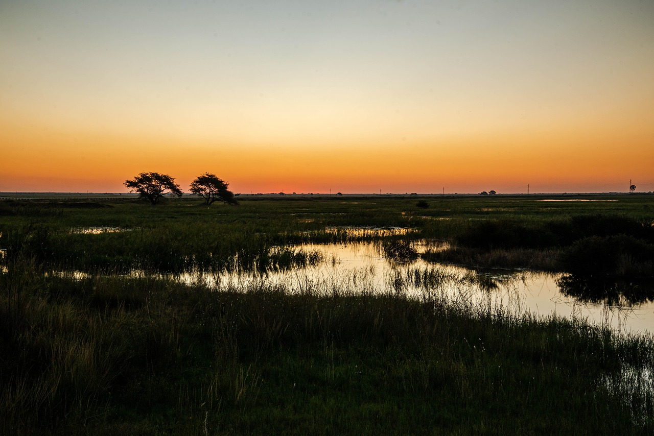 Zambia landscape sunset